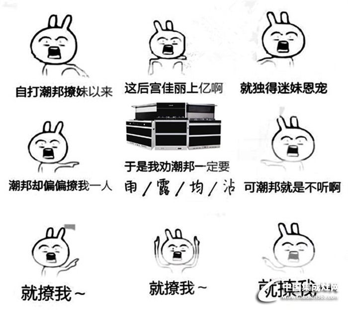 我勸皇上要雨露均沾~但皇上偏不聽，就寵潮邦集成灶！