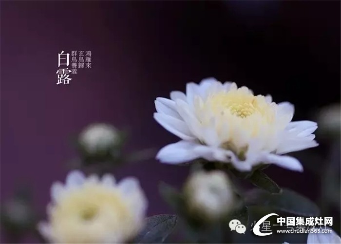 白露至秋意濃，火星一號(hào)教你怎么應(yīng)對(duì)秋寒