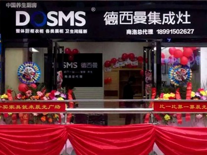 德西曼集成灶陜西商洛專賣店