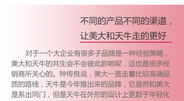 美大集成灶巨人匠心訪談手機(jī)版圖片