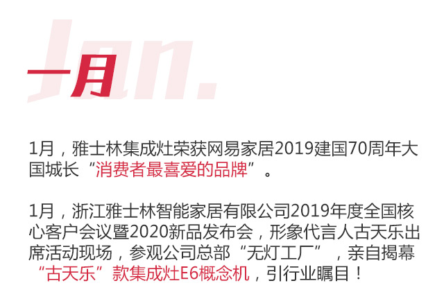 雅士林集成灶2020年度報告移動圖片