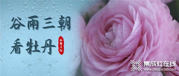 莫尼集成灶：今日谷雨，萬物生長宜播種，宜吃春！