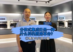 博凈企業(yè)實力篇：分體式集成灶是一種什么樣的廚房革命？ ()