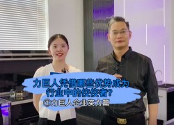 力巨人憑借哪些優(yōu)勢成為行業(yè)中的佼佼者？力巨人企業(yè)實力篇 ()