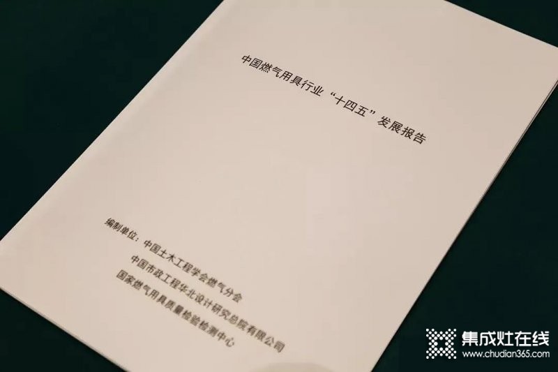 《中國(guó)燃?xì)饩咝袠I(yè)“十四五”發(fā)展報(bào)告》重磅首發(fā)，從多方面指出行業(yè)發(fā)展建議意見(jiàn)！_2