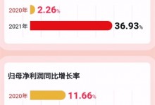 帥豐電器2021年報：營收、凈利潤實現(xiàn)雙位數(shù)增長 (1091播放)